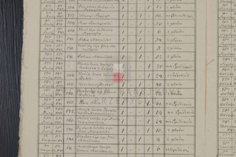 1847, Topolnica, wielki głód w Galicji